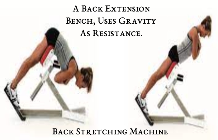 Back Extension (2)