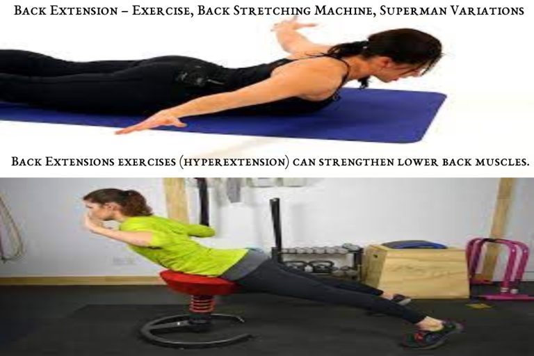 Back Extension Exercise, Back Stretching Machine, Superman Variations