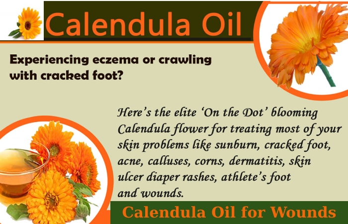 Calendula Oil (2)