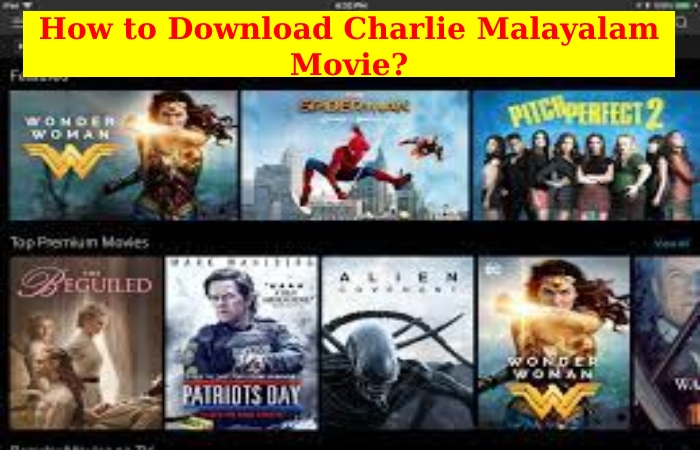 Charlie Malayalam Movie Download (2)