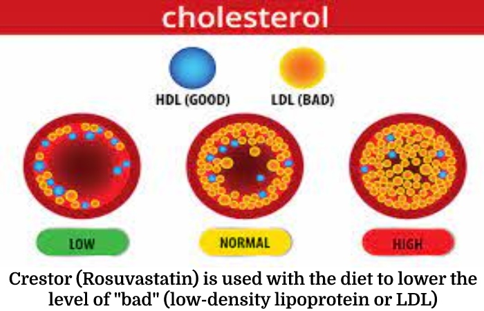 Crestor 