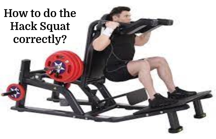 Hack Squat 