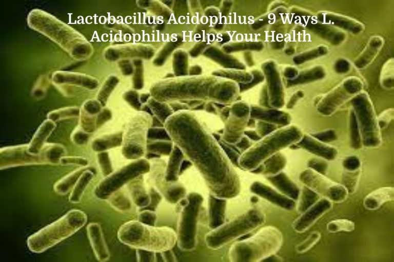 Lactobacillus Acidophilus
