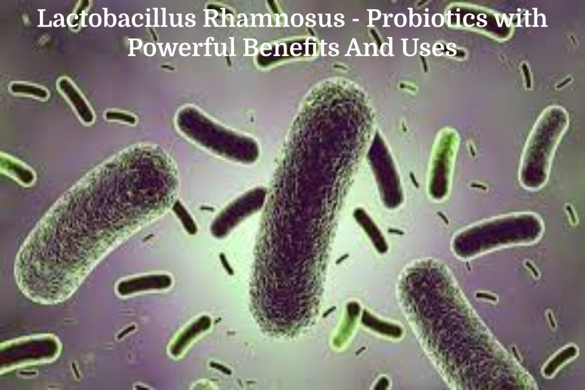 Lactobacillus Rhamnosus