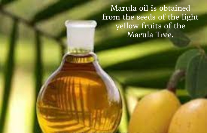 Marula Oil