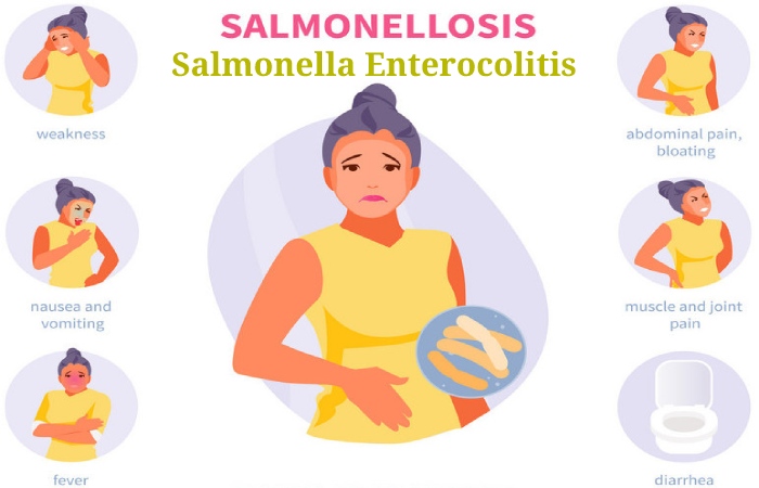 Salmonella Enterocolitis (1)