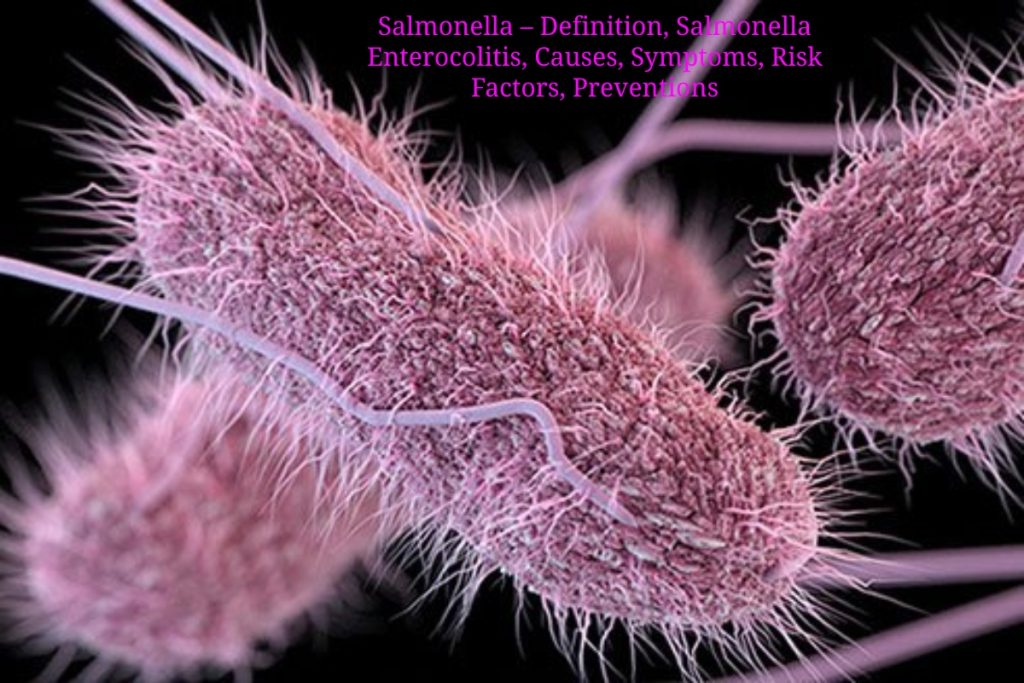 Salmonella Enterocolitis