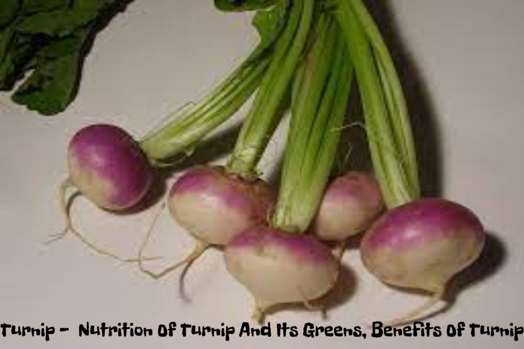 Turnip Nutrition Of Turnip And Its Greens Benefits Of Turnip turnip-nutrition-of-turnip-and-its-greens-benefits-of-turnip