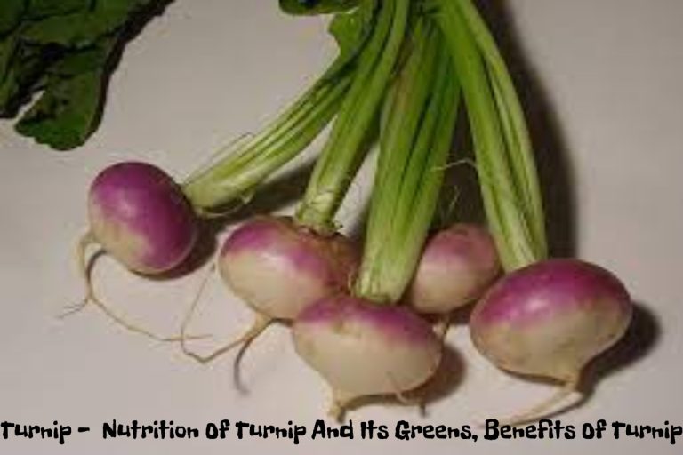 Turnip