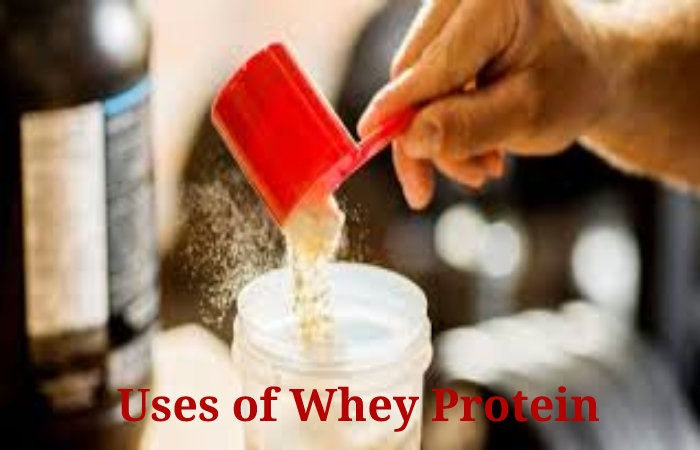 Whey Protein (1)