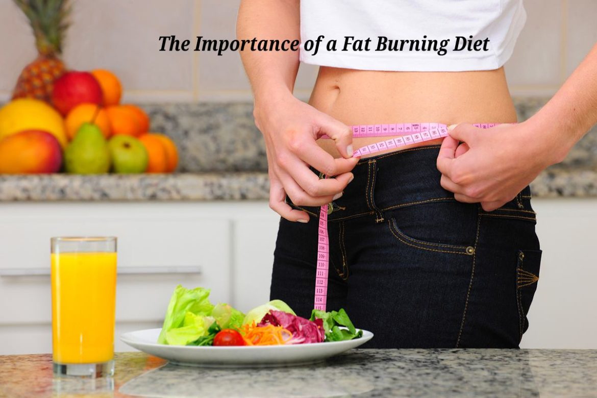 The Importance of a Fat Burning Diet The Importance of a Fat Burning Diet