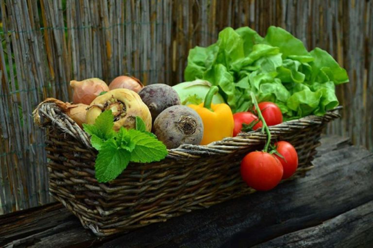 Best Foods To Maintain Your Oxygen Levels & Increase Circulation