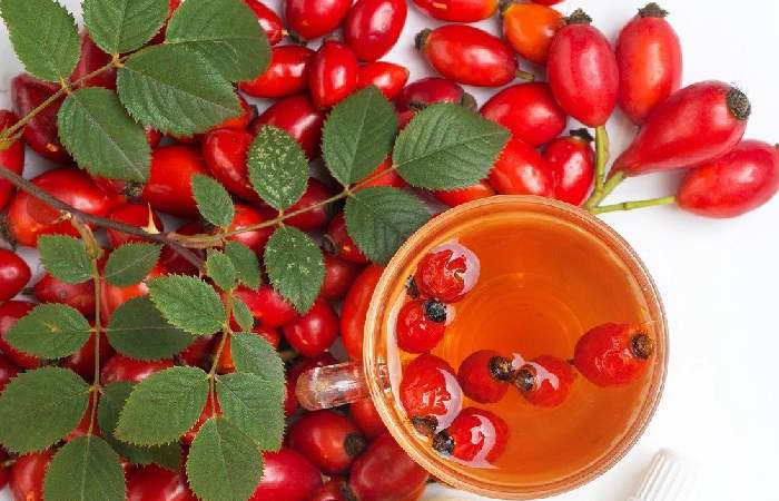 Rosehip Seed Oil