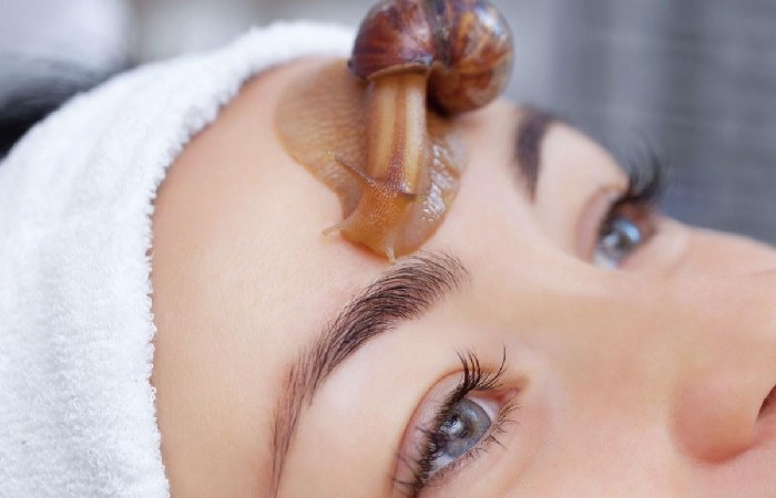 Snail Cream is The Most Popular Beauty Product on the Market