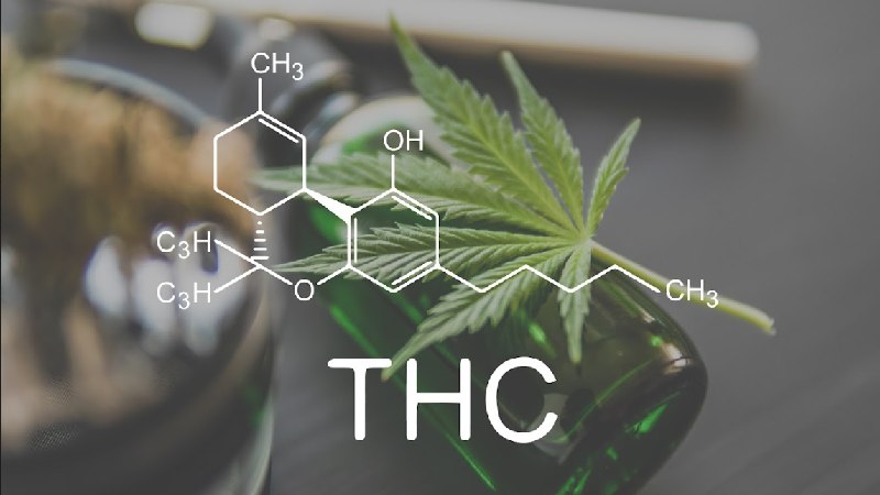 5 Things To Know About THC And Its Effects 