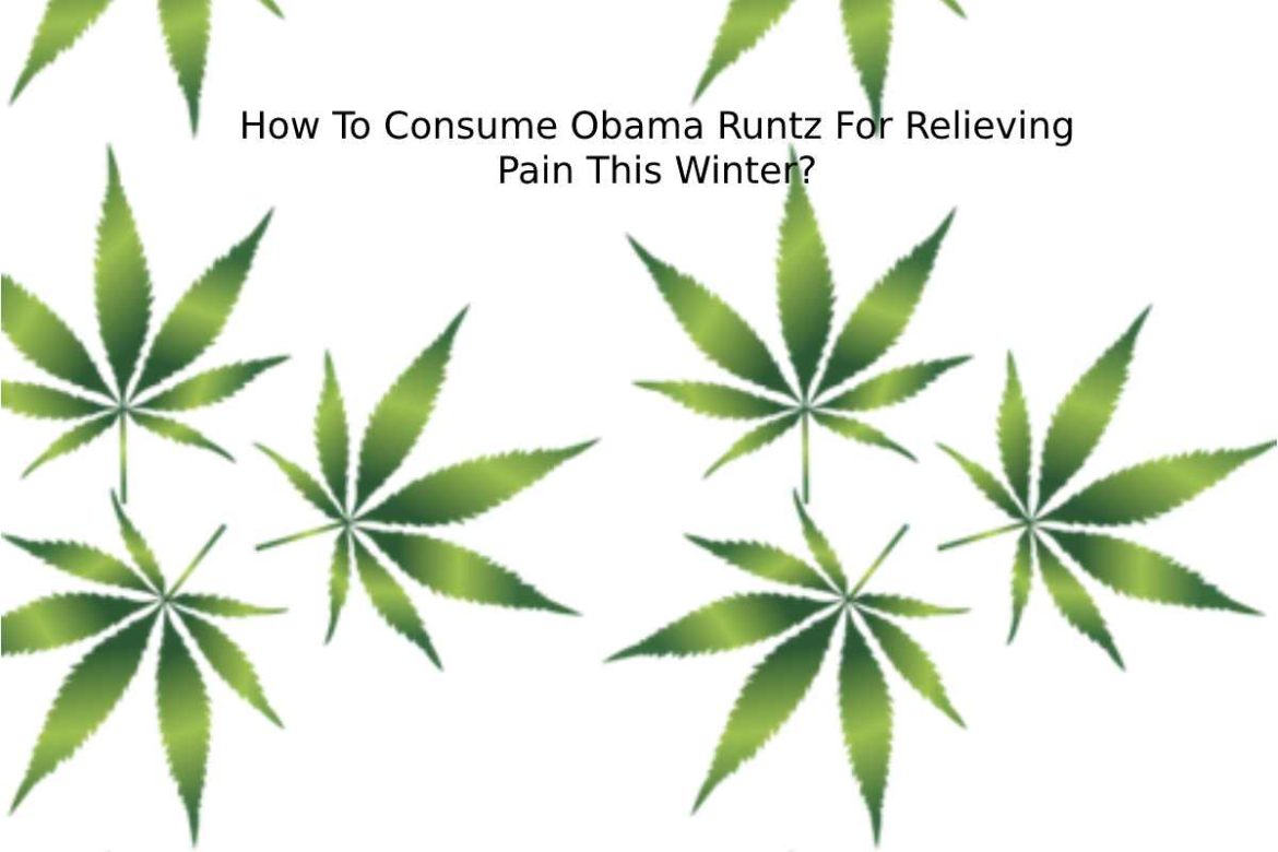 Obama Runtz For Relieving Pain