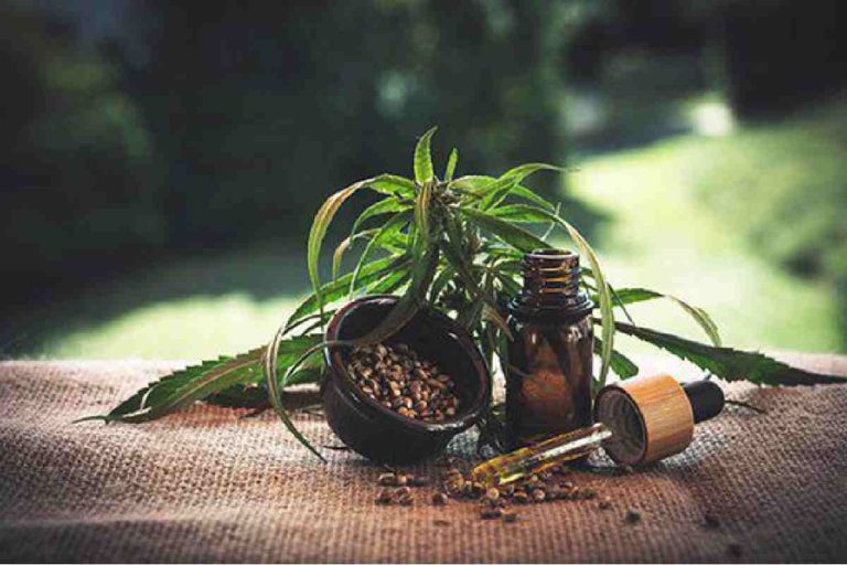 5 Essential Things To Check On The Label Of The Bottle Of CBD Oil