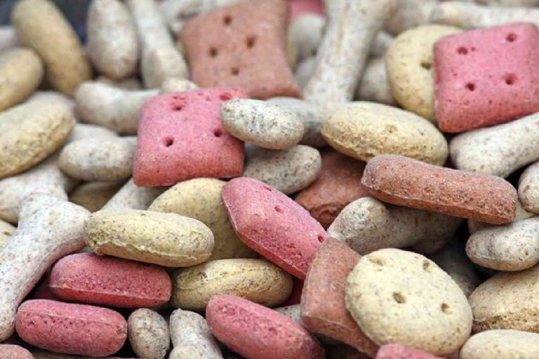 CBD Dog Treats_ Why Are They Gaining Popularity_