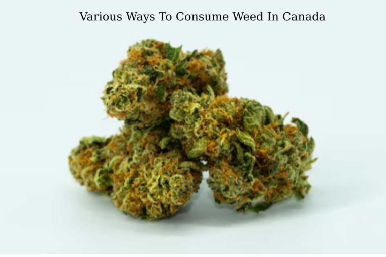Various Ways To Consume Weed In Canada