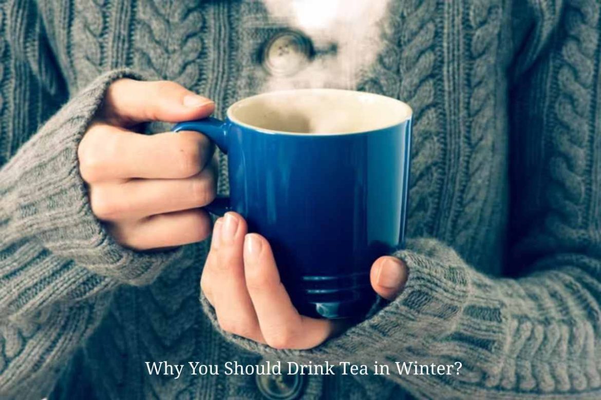 Why You Should Drink Tea in Winter