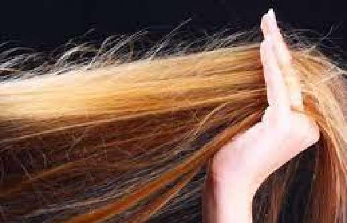 Prevents Hair Breakage