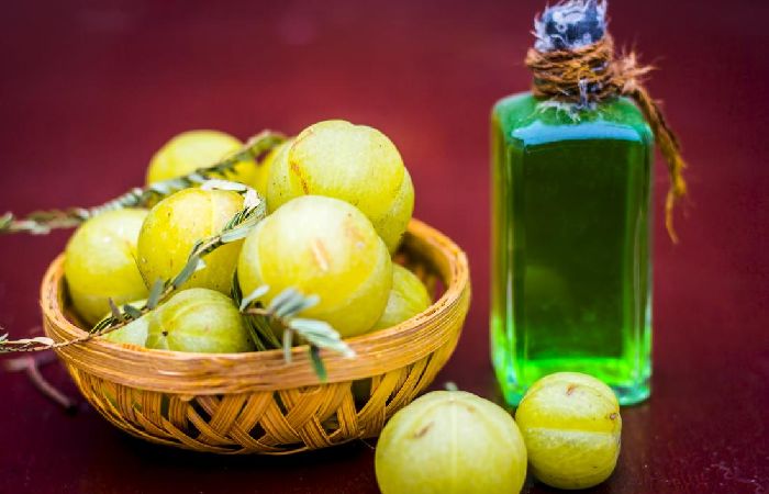 wellhealthorganic.com_amla-powder-uses-for-hair-and-others 