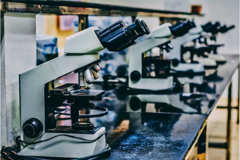 Libido Research Peptide PT-141_ A Scientific Overview