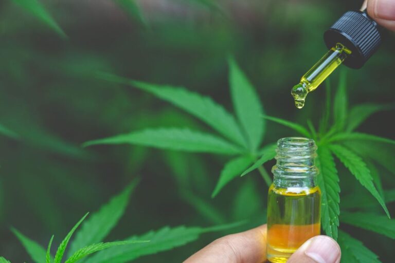 cbd can improve your well-being