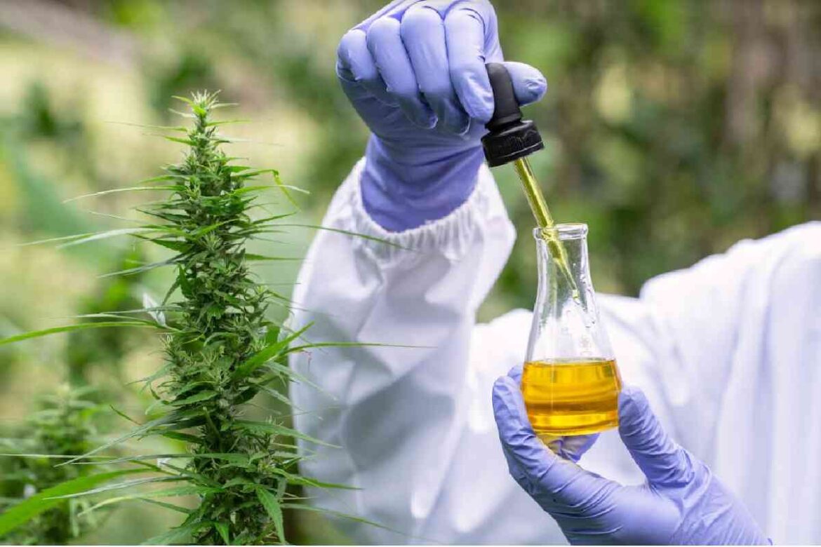 5-Things-To-Know-About-THC-And-Its-Effects 5-Things-To-Know-About-THC-And-Its-Effects