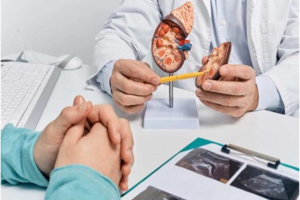 Navigating UTI & Incontinence Care with Chennai Kidney Experts_