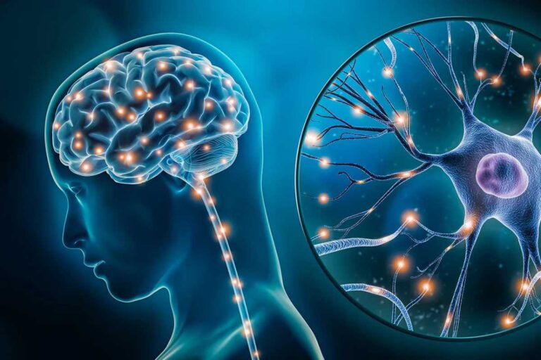 What is Serotonin_